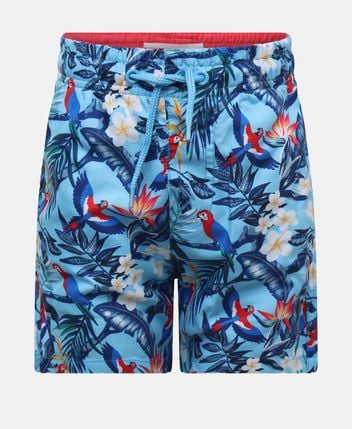 Boardshorts