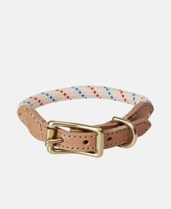 Dog collar Perry