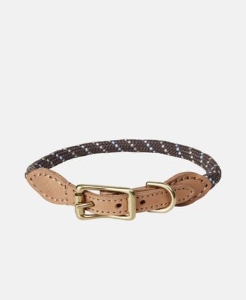 Dog collar