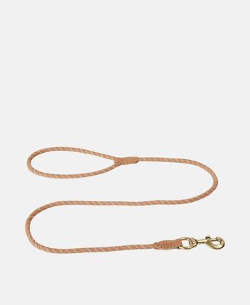 Dog leash