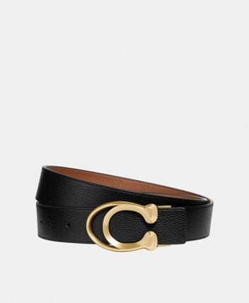 Security money belt