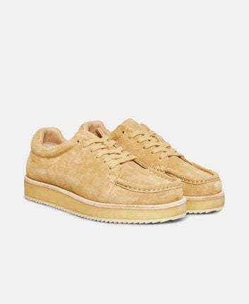 Sneakers Rookie