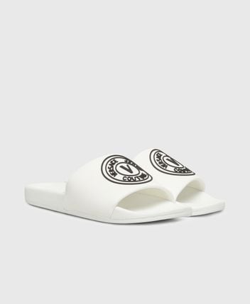 Slides