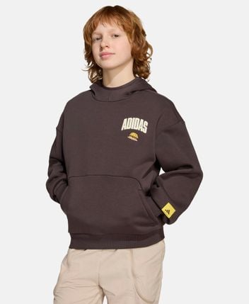 Hoodie Sim