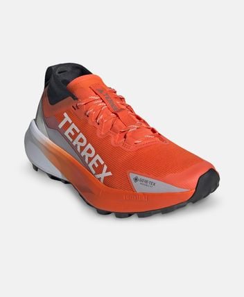 Running shoes Terrex Agravic GTX