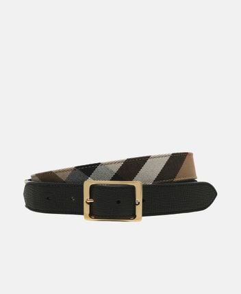 Reversible belt