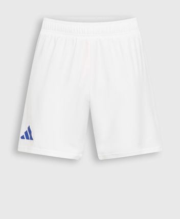 Training shorts Team