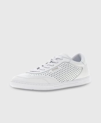 Sneakers Nixxter