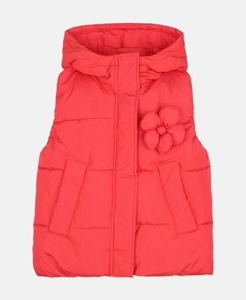 Hooded vest