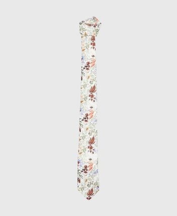 Silk tie Moiselt