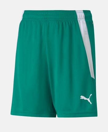 Training shorts Teamliga