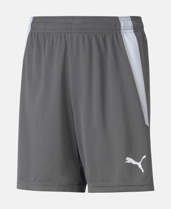 Training shorts Teamliga
