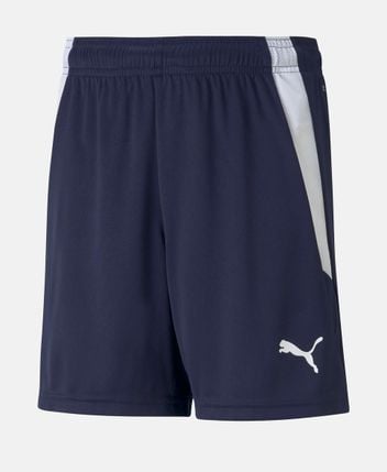 Training shorts Teamliga
