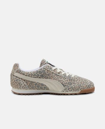 Sneakers Arizona Leo