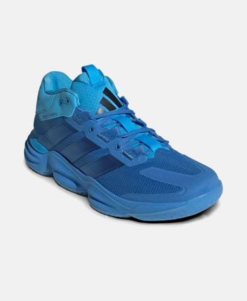 Training shoes Courtstabil