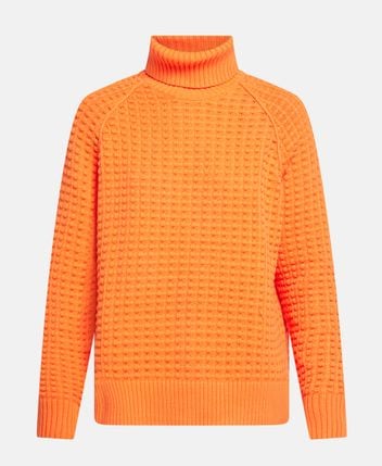 Rollneck pullover