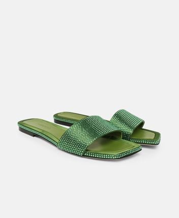 Mules Clovis