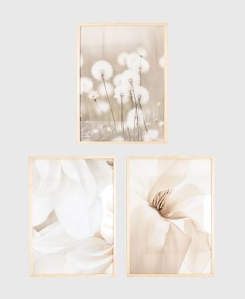 Framed pictures, set of 3