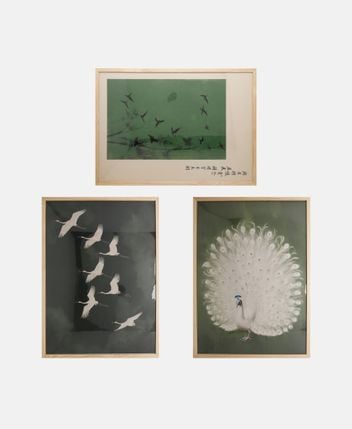 Framed pictures, set of 3