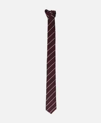 Silk tie Jtie 7.0