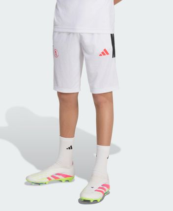 Shorts PITCH 2 STREET