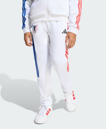 Functional trousers PITCH 2 STREET