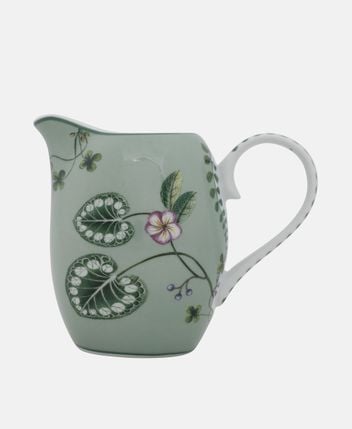 Jug Lily and Lotus