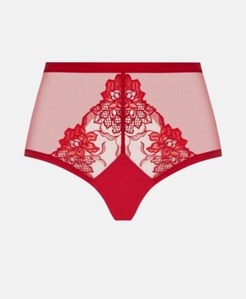 Briefs