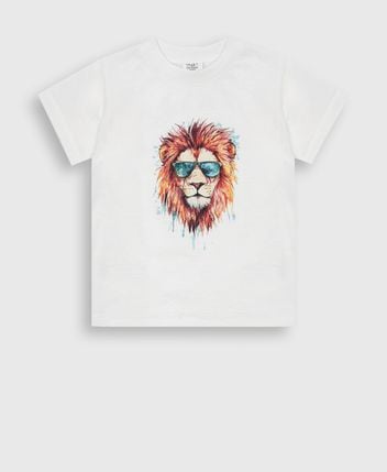 Crew neck t-shirt Anton