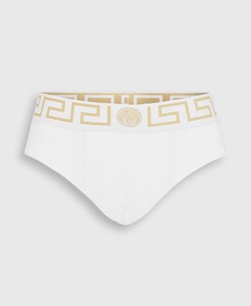Briefs