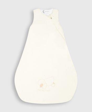 Sleeping bag