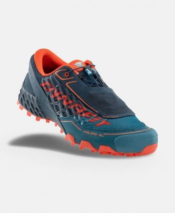 Trekking shoes Feline SL