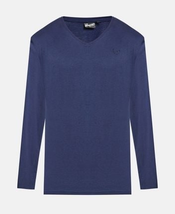 Long-sleeved top