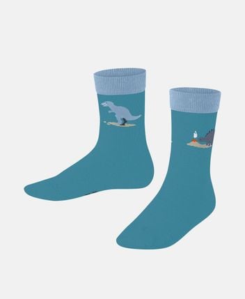 Socks Dinosaurs