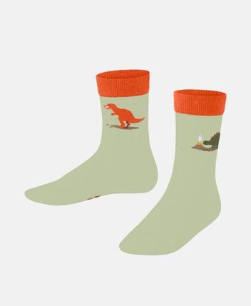 Socks Dinosaurs