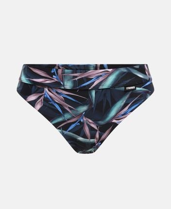 Briefs