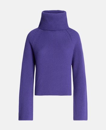Wool rollneck