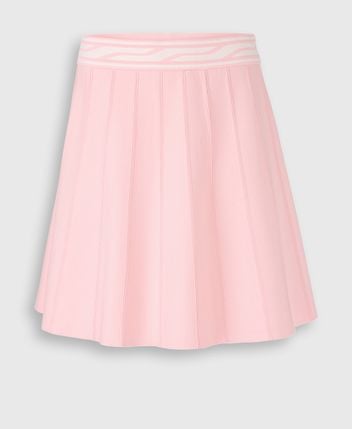 Miniskirt