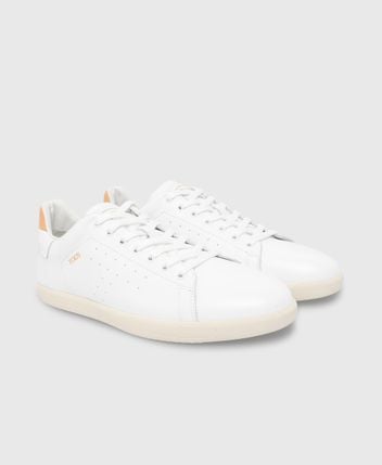 Sneakers Allacc