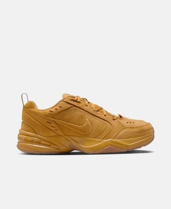 Training shoes Air Monarch Se
