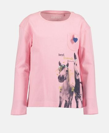 Long-sleeved top