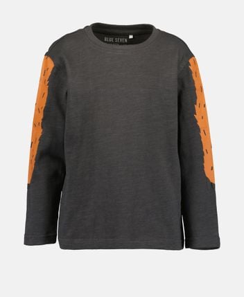 Long-sleeved top
