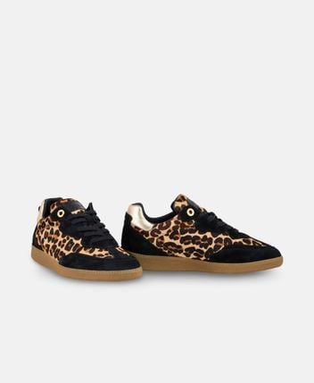 Sneakers Dodgy Dogs