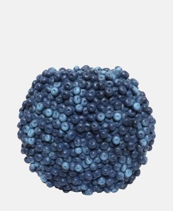 Vase Berries