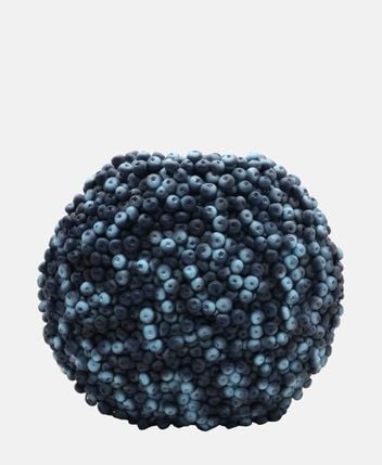 Vase Berries