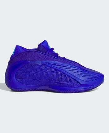 Basketball shoes ANT EDWARDS