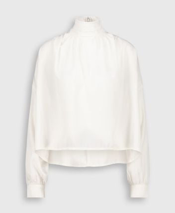 Shirt blouse