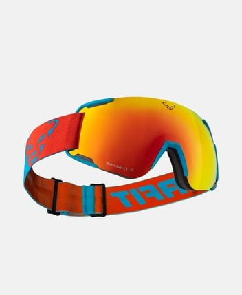 Ski goggles Evo Goggle