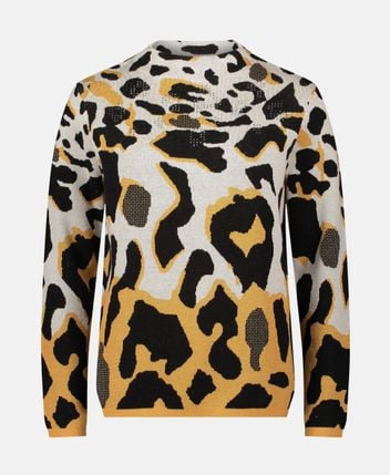 Long-sleeved jumper
