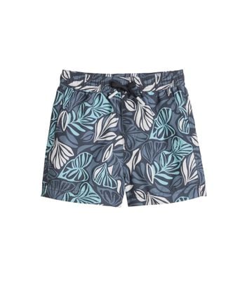Boardshorts